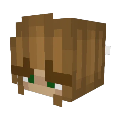 astronautfroggg Minecraft avatar head, 3D render