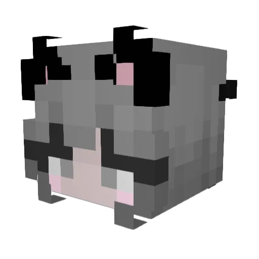 astronotty Minecraft avatar head, 3D render