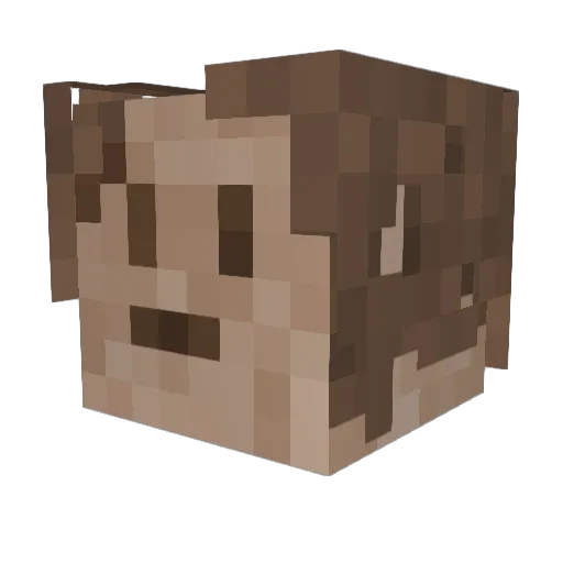 astronutttt Minecraft avatar head, 3D render