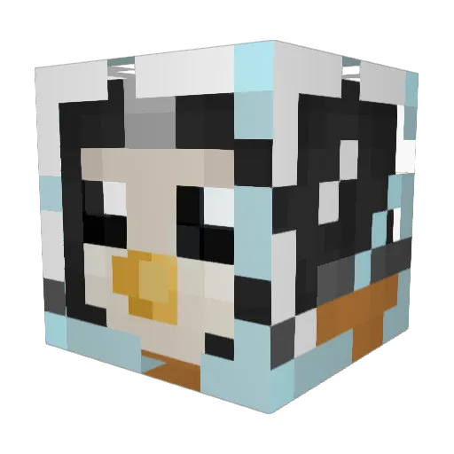 astropenguin5 Minecraft avatar head, 3D render