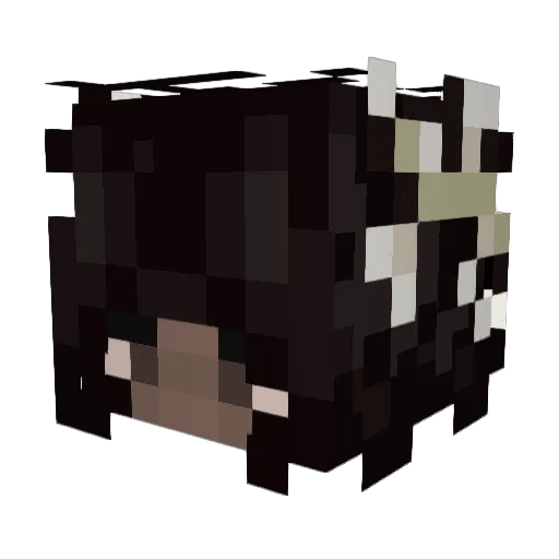 astrophiliaxx Minecraft avatar head, 3D render
