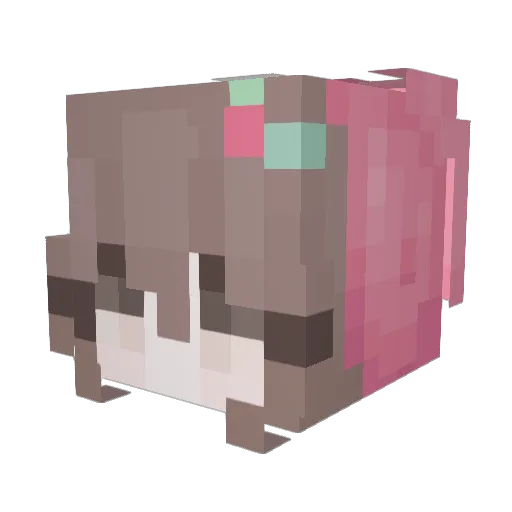 astrowish Minecraft avatar head, 3D render