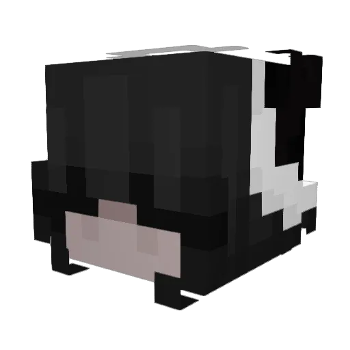 asttra Minecraft avatar head, 3D render