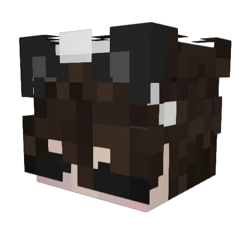 astungt Minecraft avatar head, 3D render