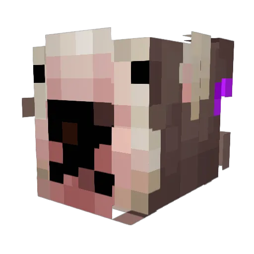astxix Minecraft avatar head, 3D render