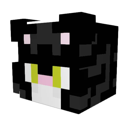 asuka0009 Minecraft avatar head, 3D render