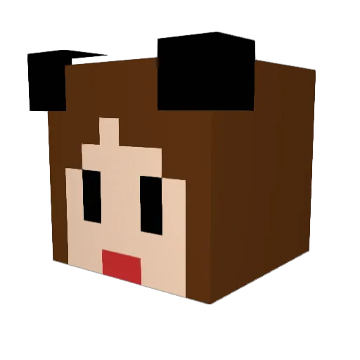 asuka20 Minecraft avatar head, 3D render