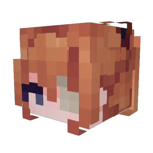 asuka3143 Minecraft avatar head, 3D render