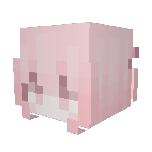 asuparamaki Minecraft avatar head, 3D render