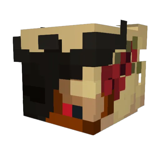 asupercoolusern Minecraft avatar head, 3D render