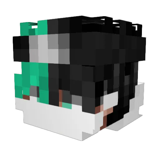 asvid12345 Minecraft avatar head, 3D render