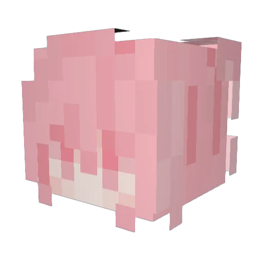 asvmii_ Minecraft avatar head, 3D render