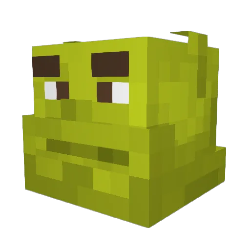 asweeney555 Minecraft avatar head, 3D render