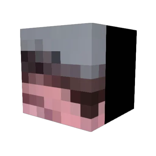 asxp_ Minecraft avatar head, 3D render