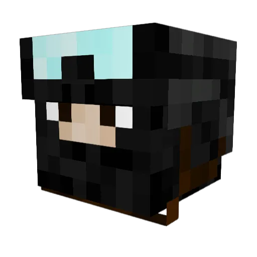 at_fr05ty Minecraft avatar head, 3D render