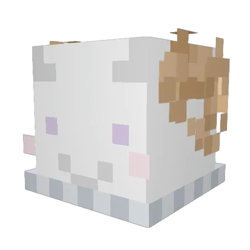 ataraxis02 Minecraft avatar head, 3D render