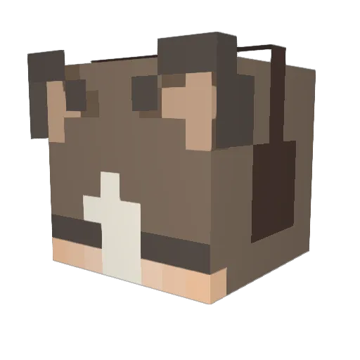 atchacha Minecraft avatar head, 3D render