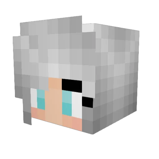 ateyourcookies Minecraft avatar head, 3D render
