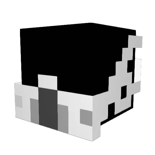 athleticfuse Minecraft avatar head, 3D render