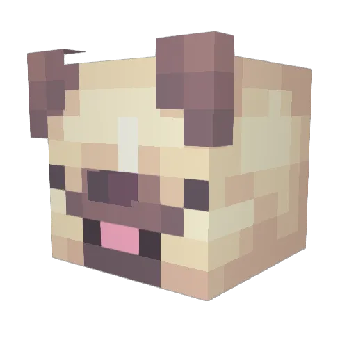 atinyguy Minecraft avatar head, 3D render