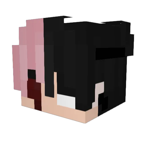 ativando Minecraft avatar head, 3D render