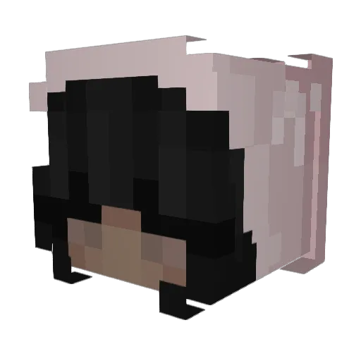atlinnn Minecraft avatar head, 3D render
