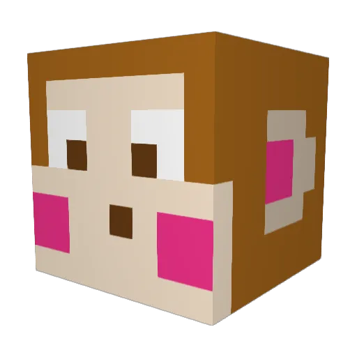atnalata Minecraft avatar head, 3D render