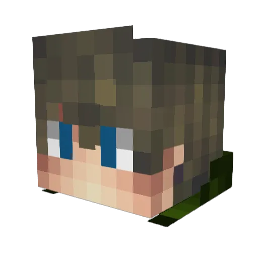 atoi Minecraft avatar head, 3D render