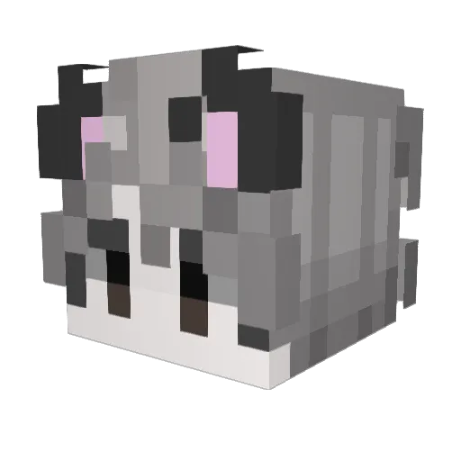 atom0134 Minecraft avatar head, 3D render