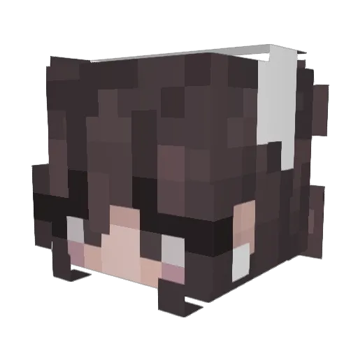 atomicbunny1024 Minecraft avatar head, 3D render