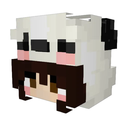 atomicfox619 Minecraft avatar head, 3D render