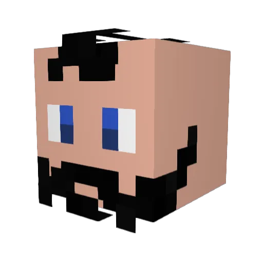 atoom1111 Minecraft avatar head, 3D render