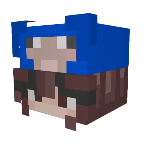 atotter Minecraft avatar head, 3D render