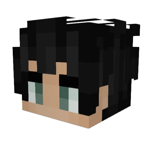 aturtleplaying Minecraft avatar head, 3D render