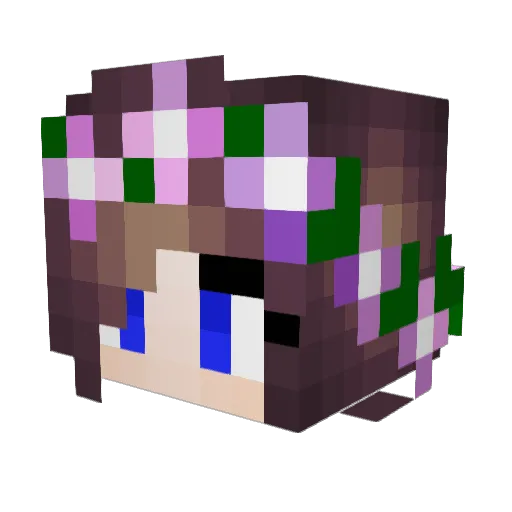 au6ade Minecraft avatar head, 3D render