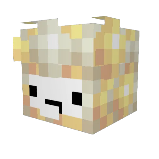 au_popcorn Minecraft avatar head, 3D render