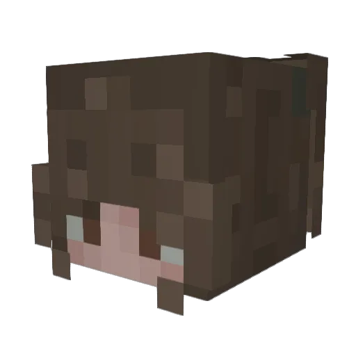 aubeecaine Minecraft avatar head, 3D render
