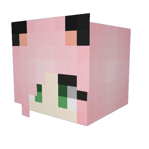 aubrey0 Minecraft avatar head, 3D render