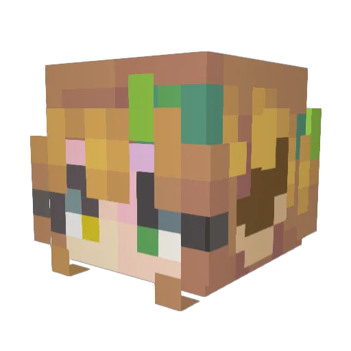 aubrey507 Minecraft avatar head, 3D render