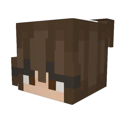 auburger Minecraft avatar head, 3D render