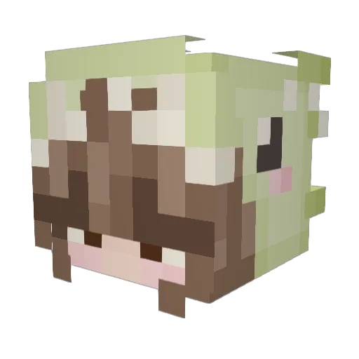 auburnito Minecraft avatar head, 3D render