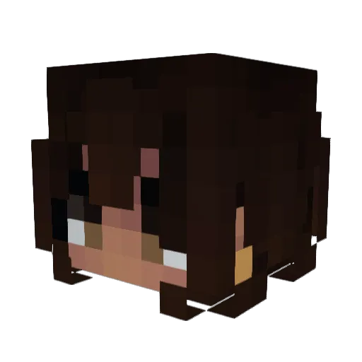 auditReaper Minecraft avatar head, 3D render