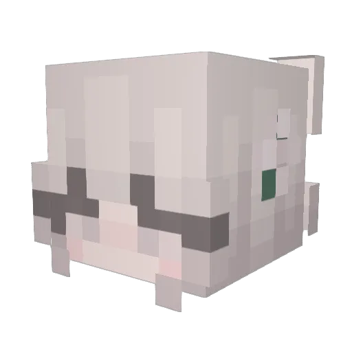 audreb Minecraft avatar head, 3D render