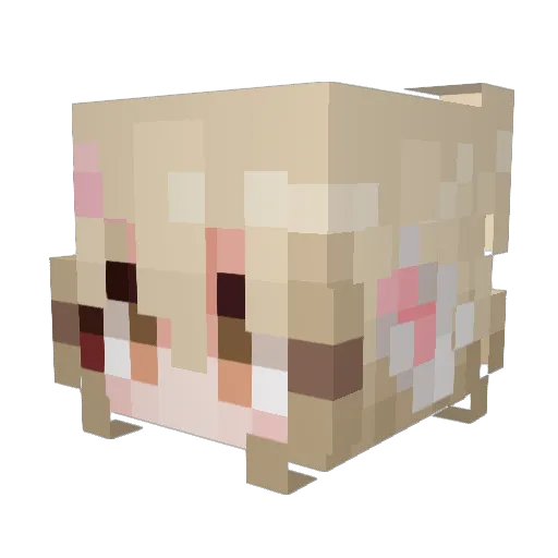 audreymroczka Minecraft avatar head, 3D render