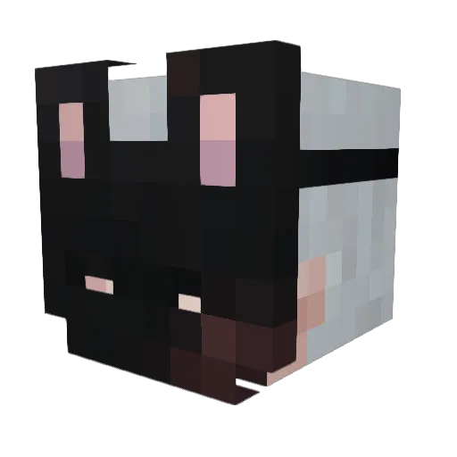 aufity Minecraft avatar head, 3D render