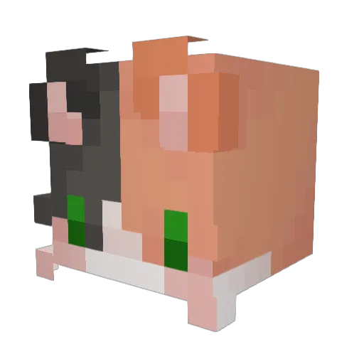 auggi3 Minecraft avatar head, 3D render