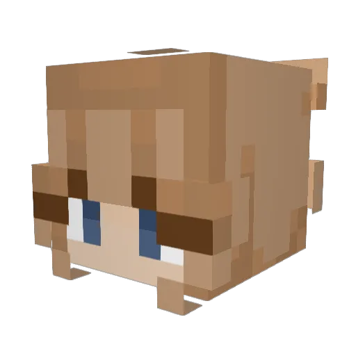 aughtism Minecraft avatar head, 3D render