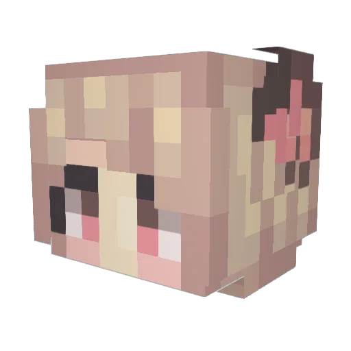 augussie Minecraft avatar head, 3D render