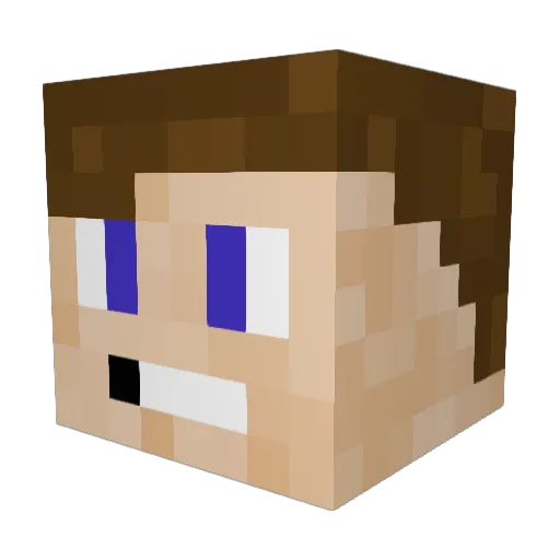 augustopeixer Minecraft avatar head, 3D render