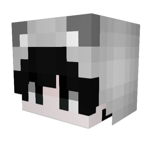 auikyo Minecraft avatar head, 3D render